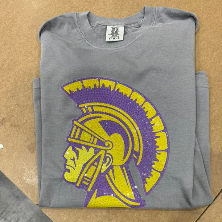 Trojan Head Logo / Purple Gold