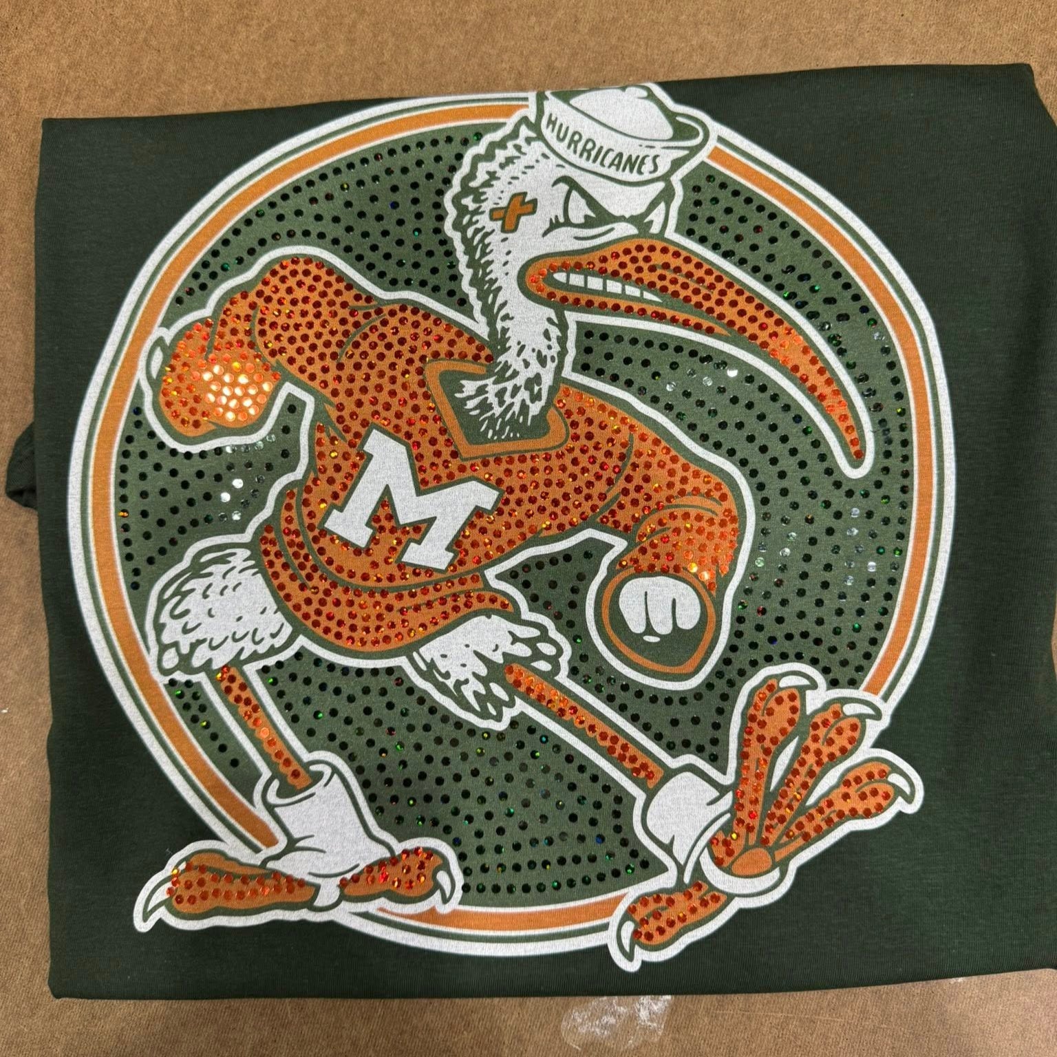 Hurricane Mascot
