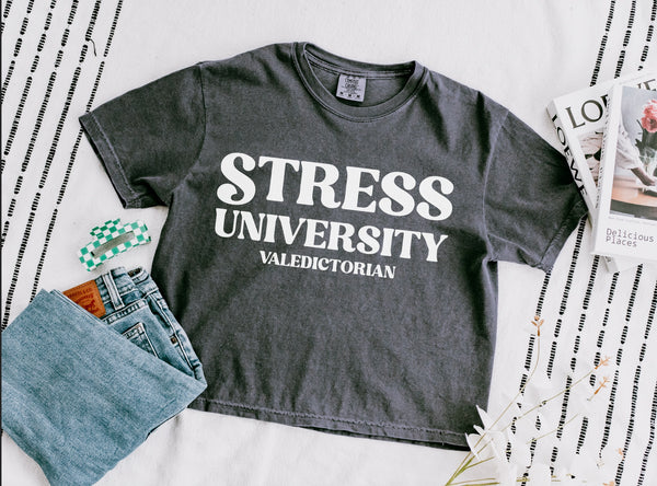 Stress University Comfort Colors