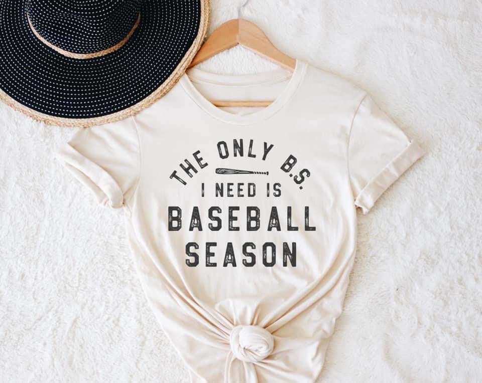 bs baseball season