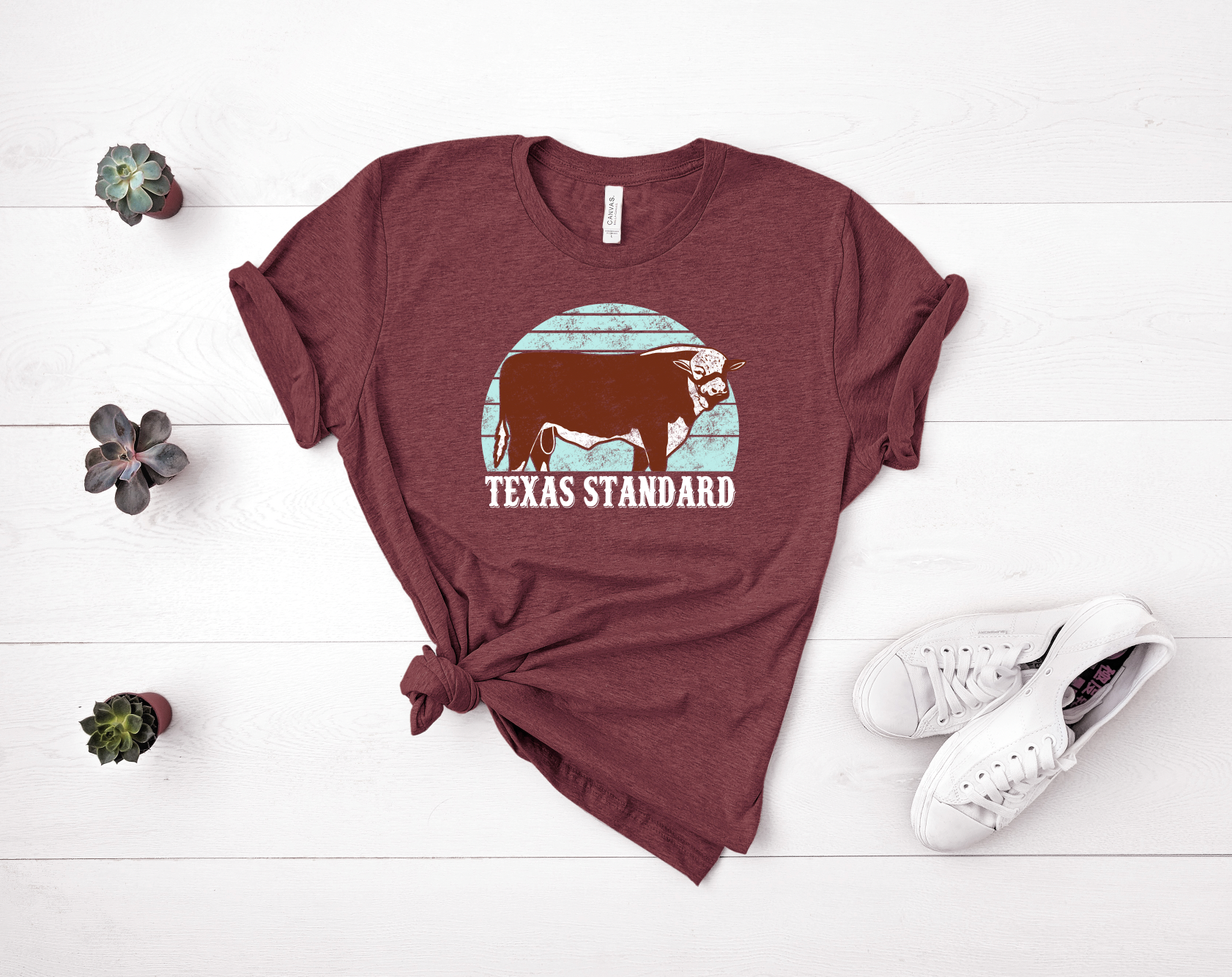 texas standards