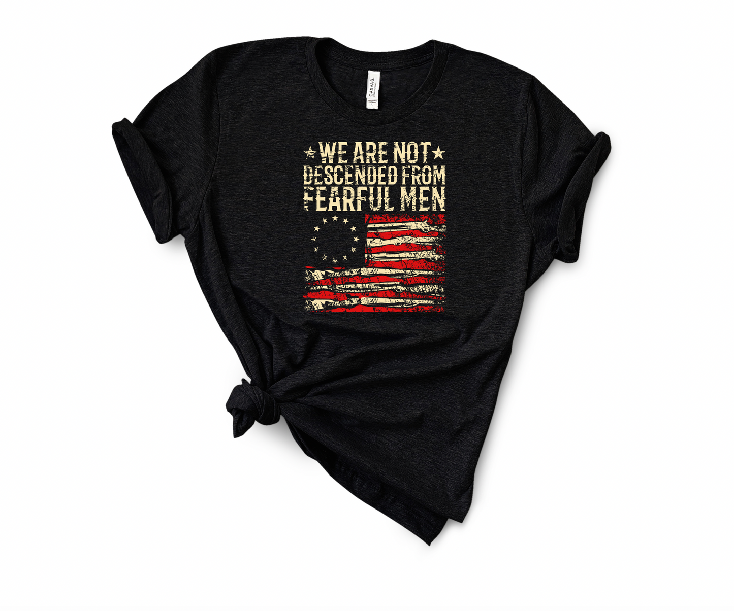 we are not descended from fearful men