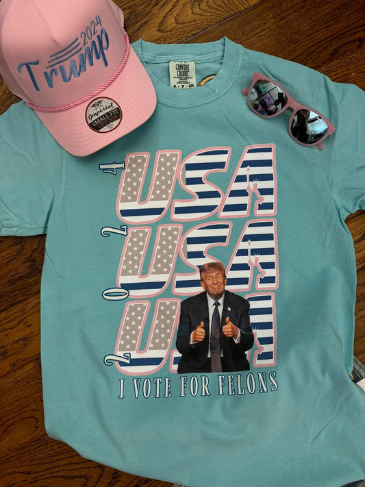 USA I Vote For Felons Comfort Colors