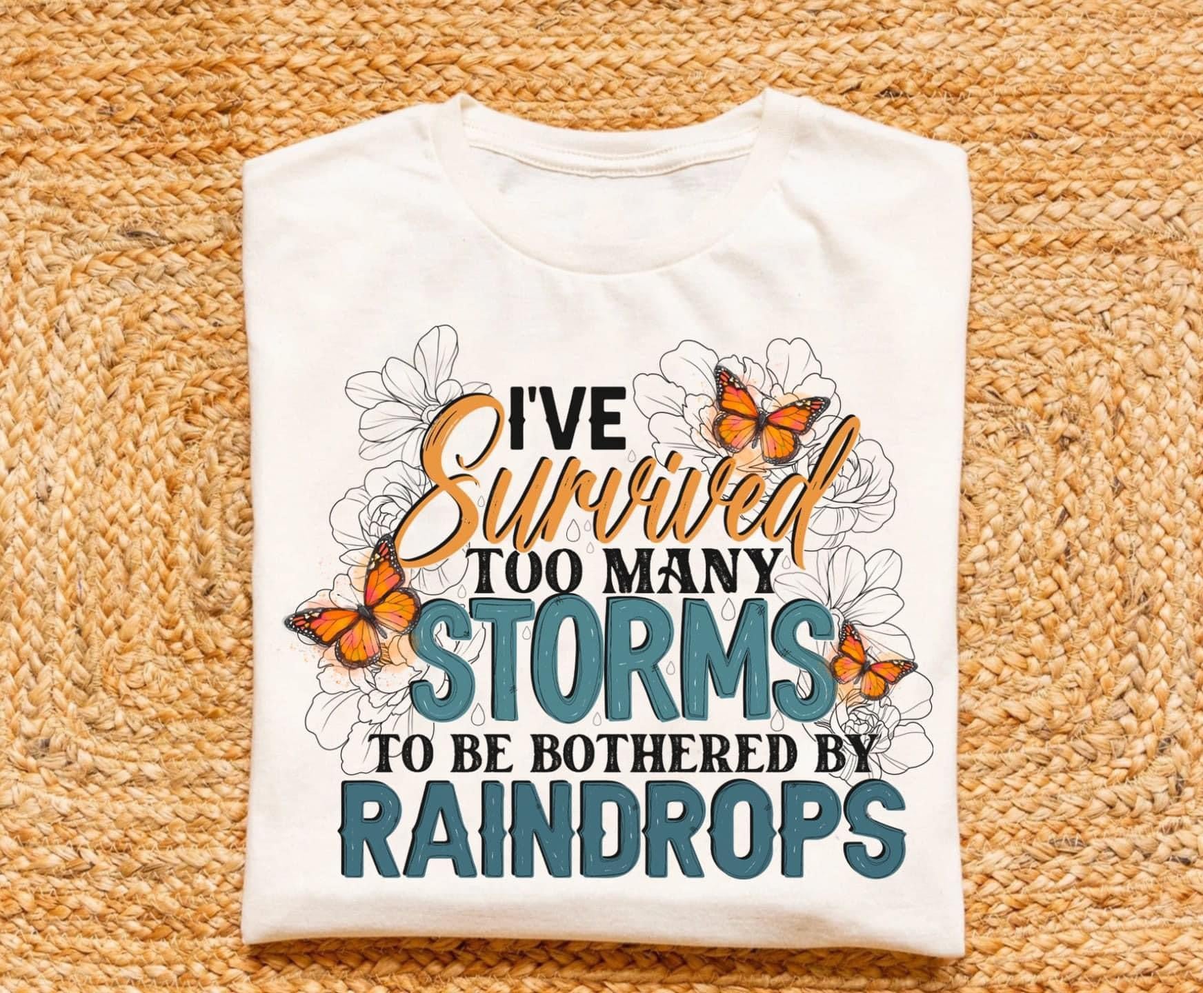 Ive Survived Too Many Storms