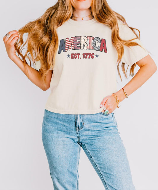 America 1776 Colors Boxy Crop