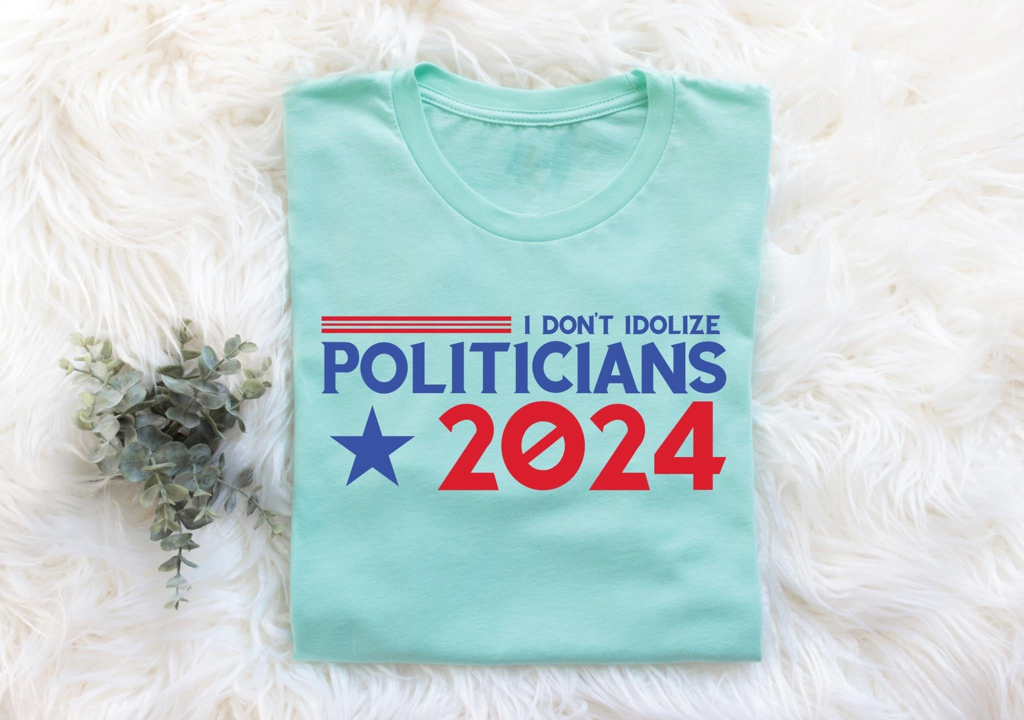 I Don’t Idolize Politicians 2024 Comfort Colors