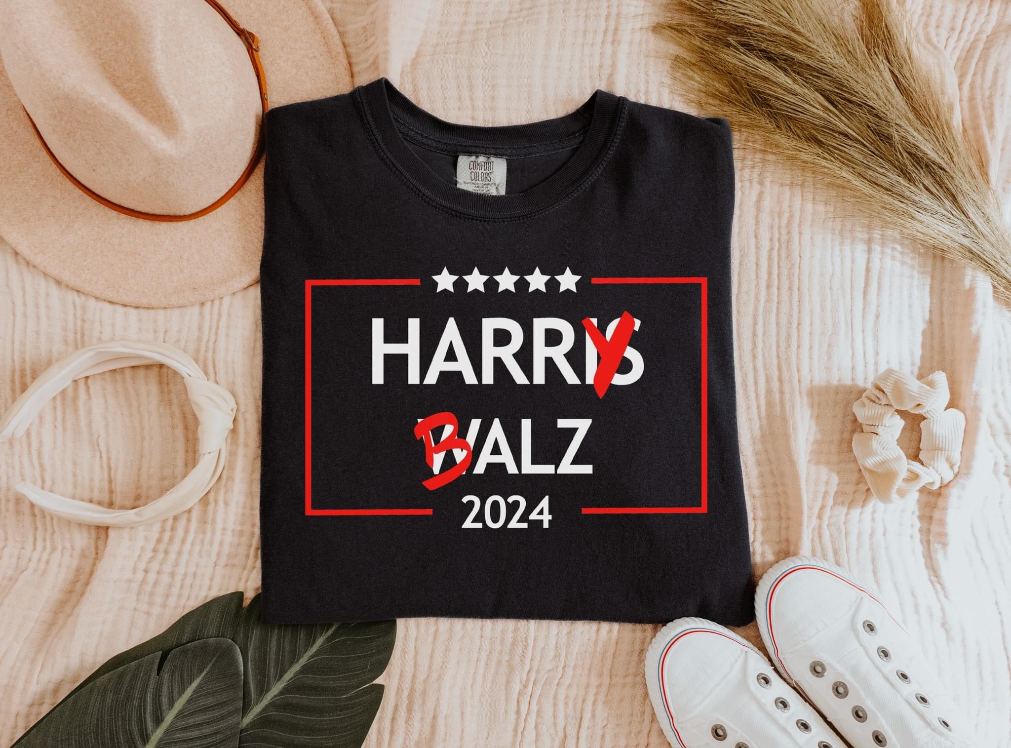 Harry Balz Harris Walz 2024