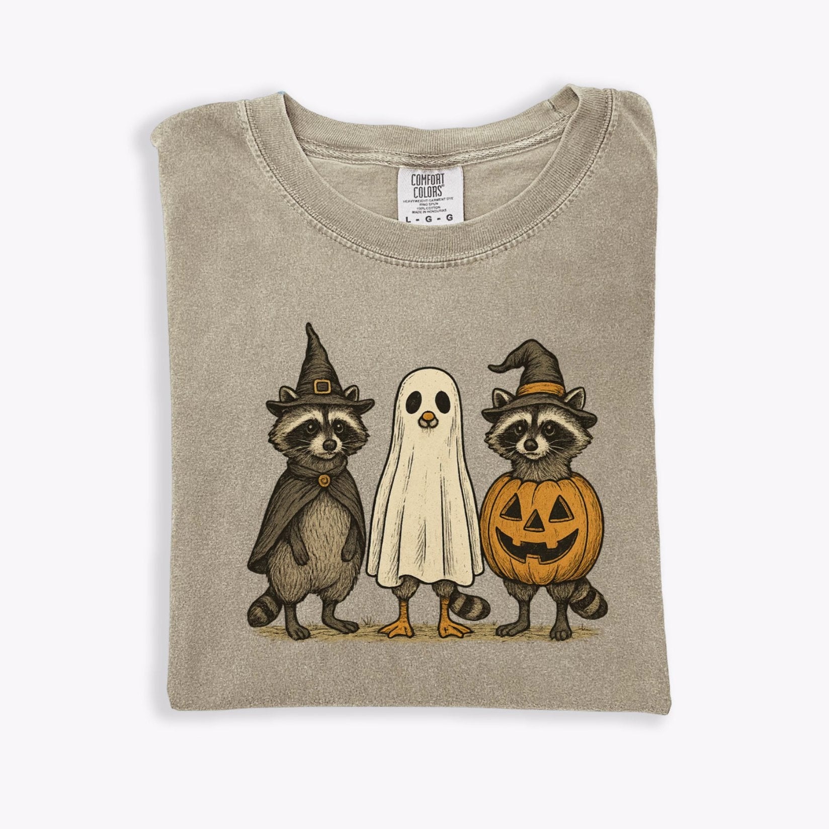 Raccoon Ghost Witch Pumpkin