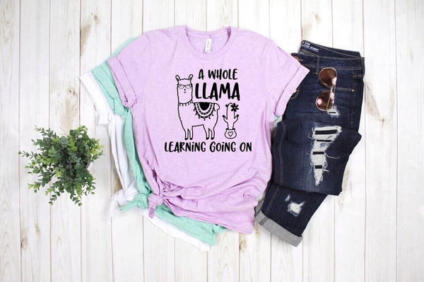 A Whole Llama Learning Going On