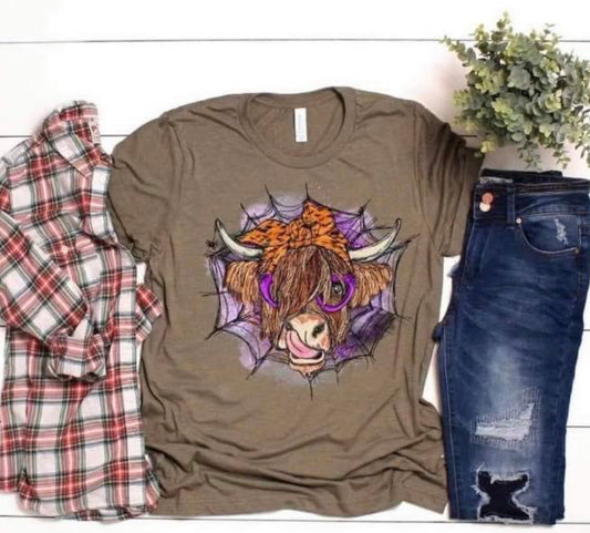 boo heifer highland cow