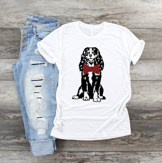 cavalier king charles spaniel bow tie