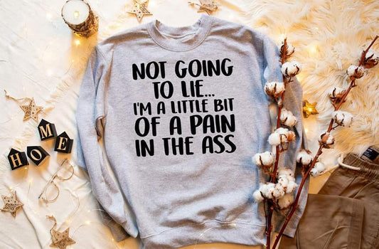 little bit of a pain in the ass