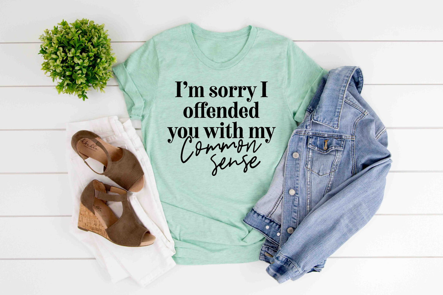 im sorry i offended you with my common sense