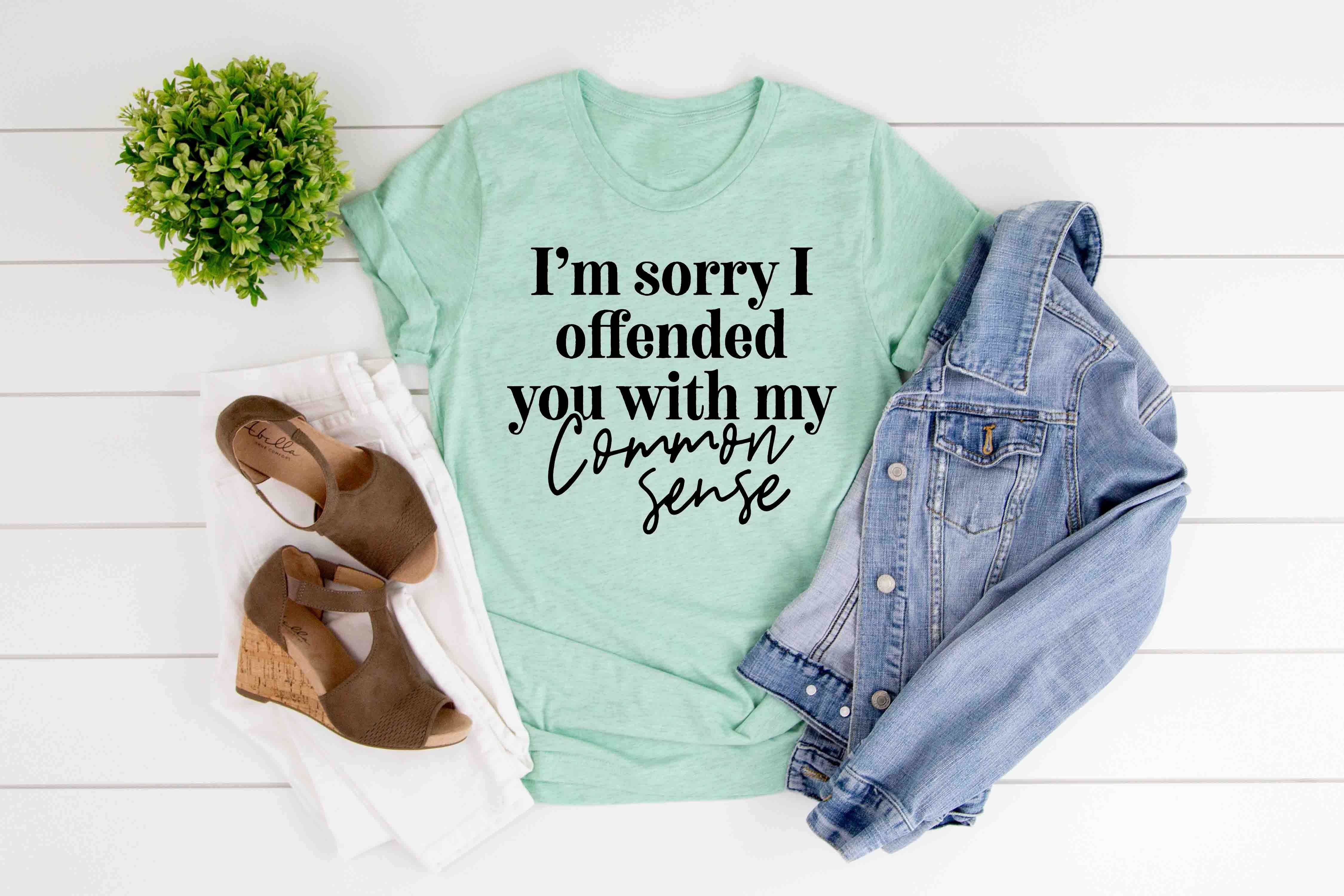 im sorry i offended you with my common sense