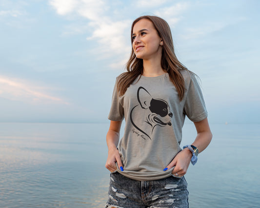 boston terrier profile