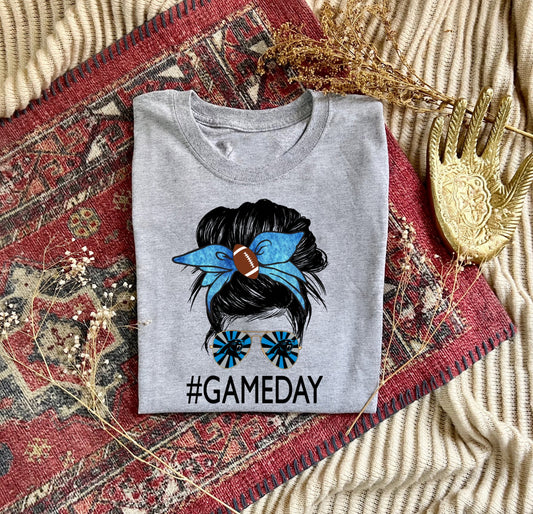 gameday carolina panthers