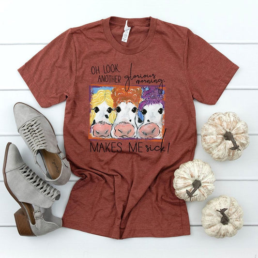 glorious morning cows