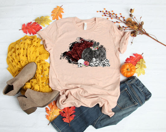 halloween pumpkin fairytale