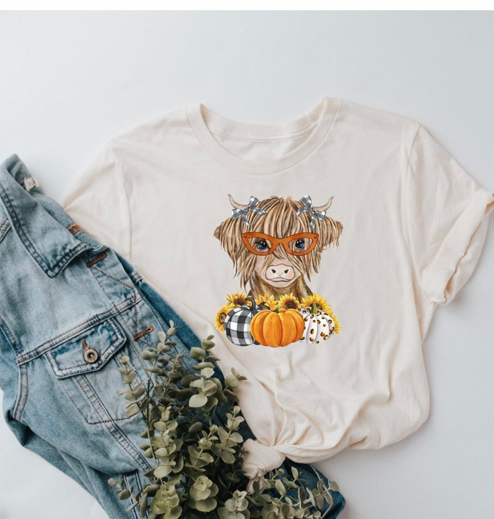 fall highland cow