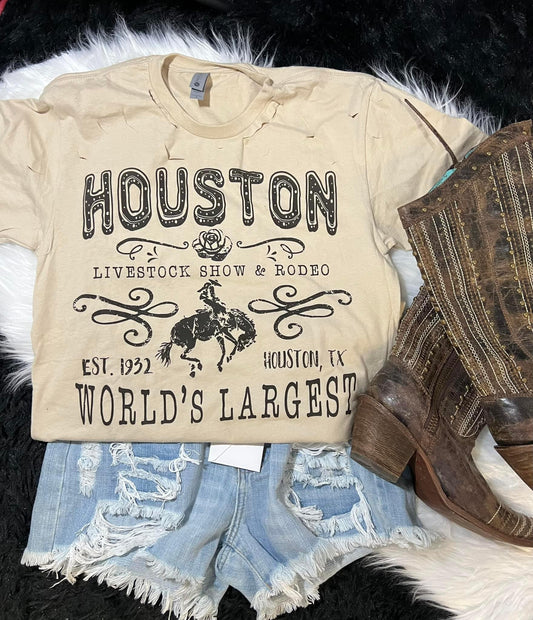 Huston Rodeo Distressed