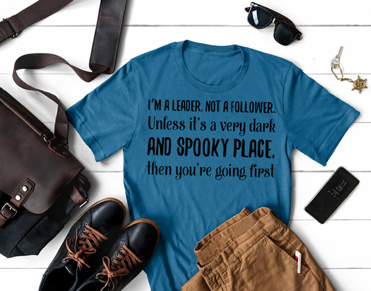 im a leader not a follower