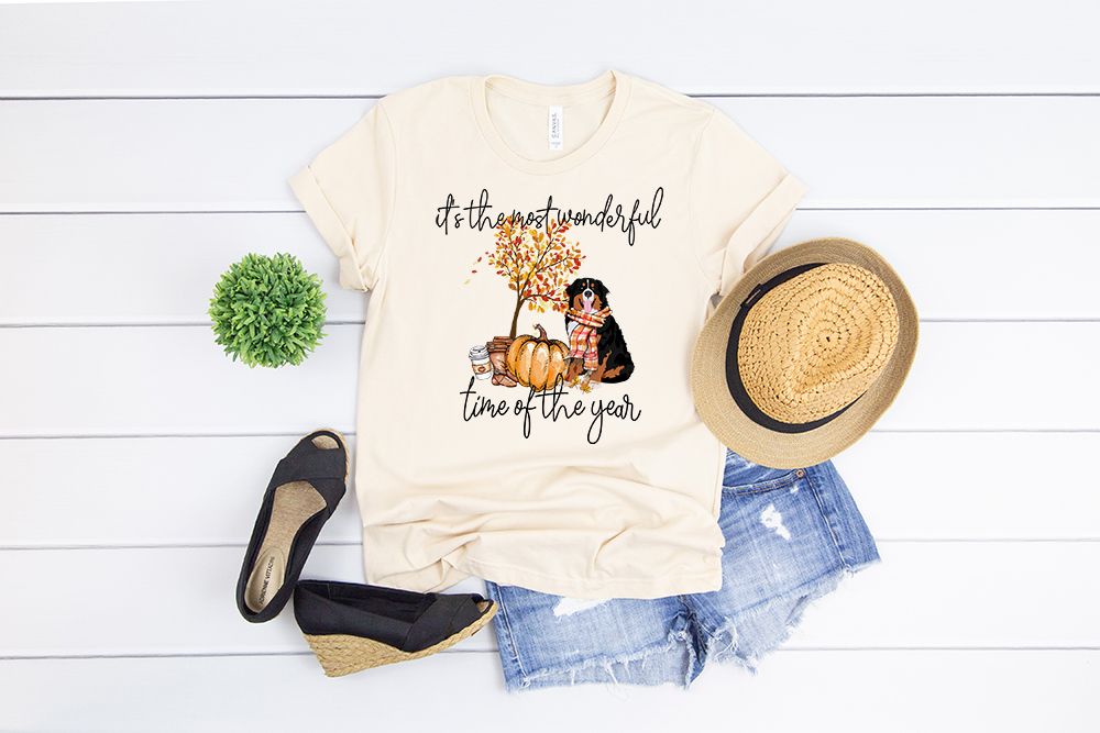 most wonderful fall bernese mountain