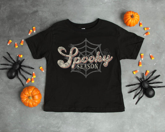 Spooky Season Spider Web