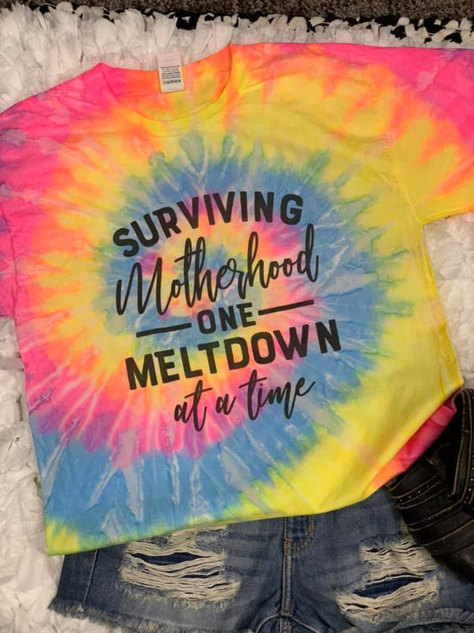 surviving motherhood one meltdown at a time