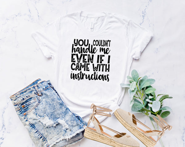 you couldnt handle me even if i came with instructions tee